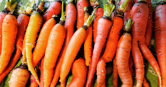 Carrots