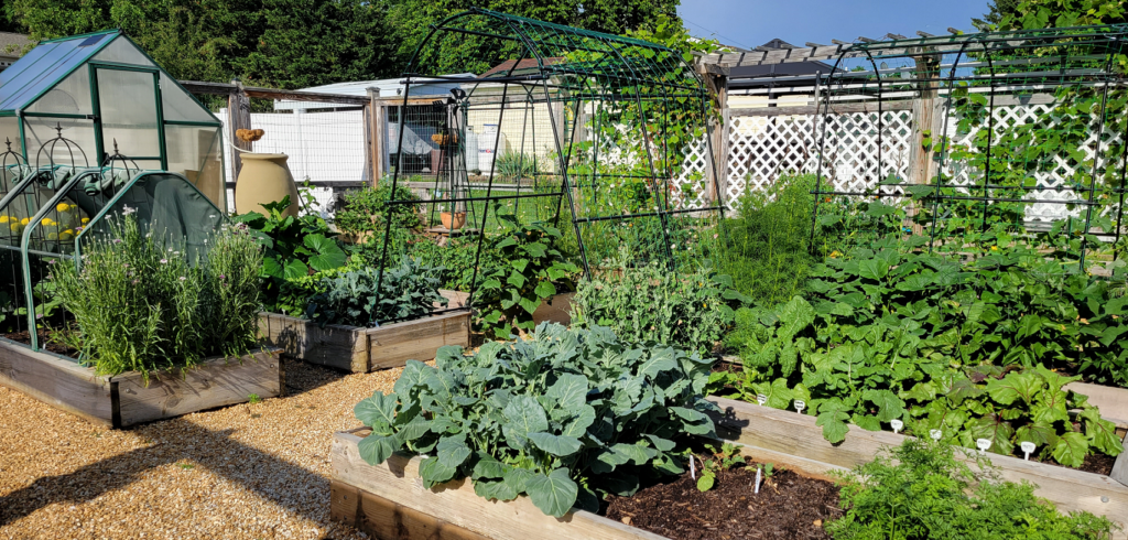 Lush vegetable garden featuring raised beds with crops like broccoli and herbs, along with a greenhouse and trellises for climbing plants.