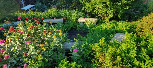 Vibrant garden scene with colorful flowers, including zinnias, intertwined with lush greenery and garden benches, showcasing a tranquil outdoor space.
