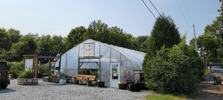 Greenhouse nestled in a rural area, featuring a clear plastic structure, surrounded by greenery and gravel pathways, indicating a focus on sustainable cultivation.