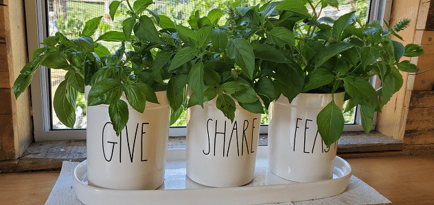 SweetBasil