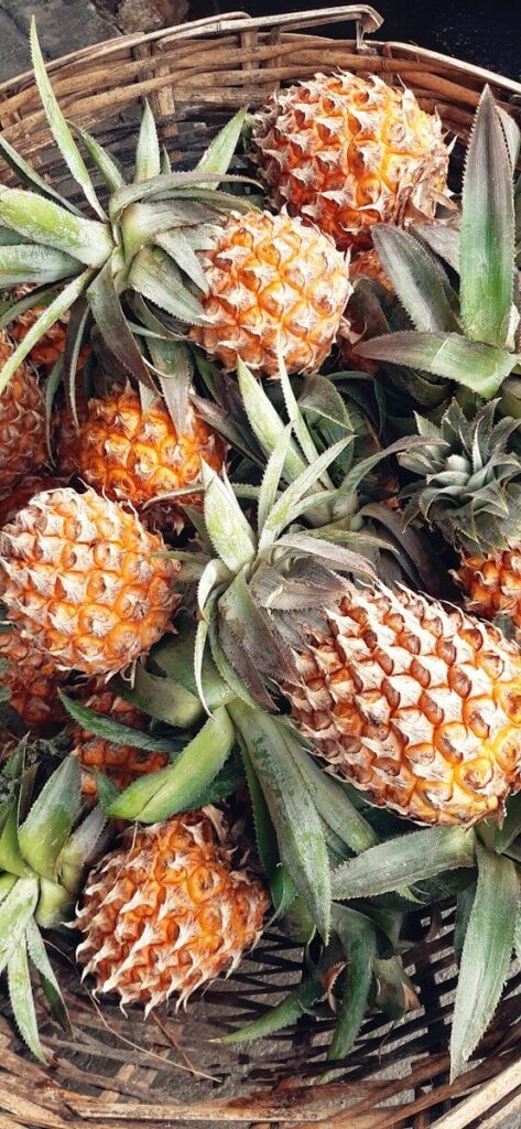 A woven basket filled with ripe pineapples, showcasing their textured skin and vibrant colors, highlighting the freshness of tropical produce.